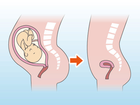 悪露（オロ）とは？