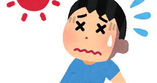 夏バテ・・・。