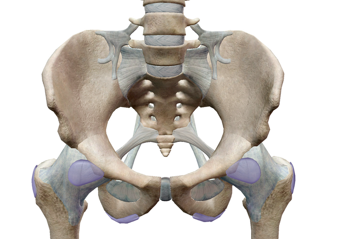 骨盤矯正は【なぜ】必要？？ Part２