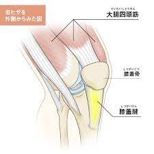 ジャンパー膝？