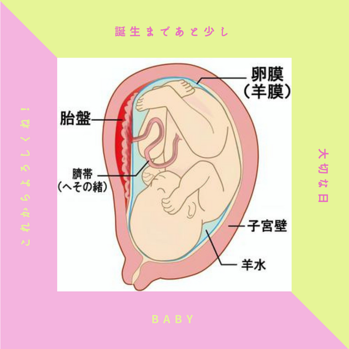 お産の３つのサイン？part.3