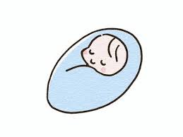 お腹の赤ちゃん今どれくらい？③