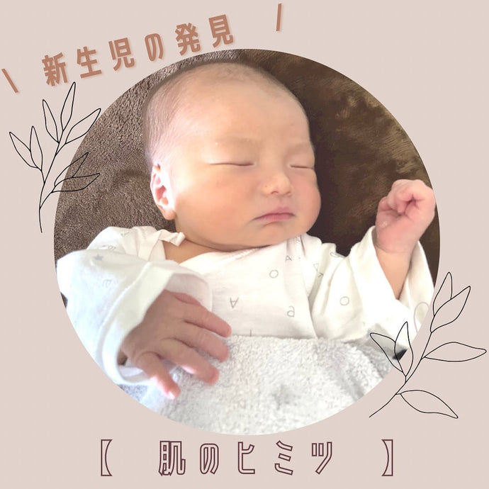 肌のヒミツ
