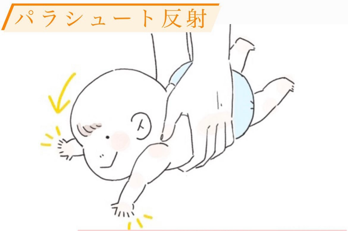 赤ちゃんの反射　part.６