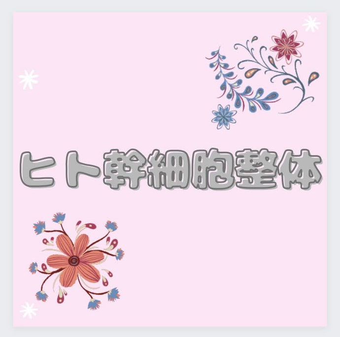 【ヒト幹細胞整体】