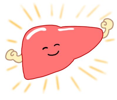 身体の不調と内臓は関係がある！？