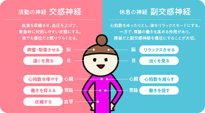 腸と神経の関係性！？