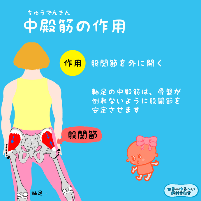 『腰痛改善！筋膜リリース』第四弾